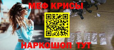 индика Кингисепп