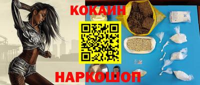 индика Кингисепп