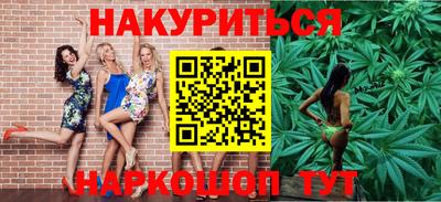 индика Кингисепп