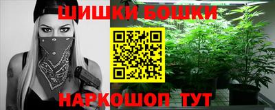 индика Кингисепп