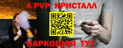 индика Кингисепп