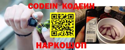 индика Кингисепп