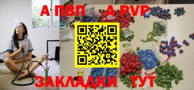 индика Кингисепп