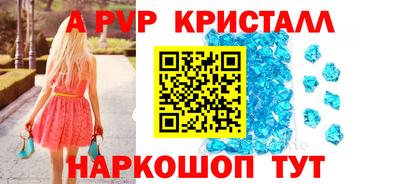 индика Кингисепп