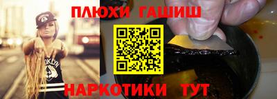 индика Кингисепп