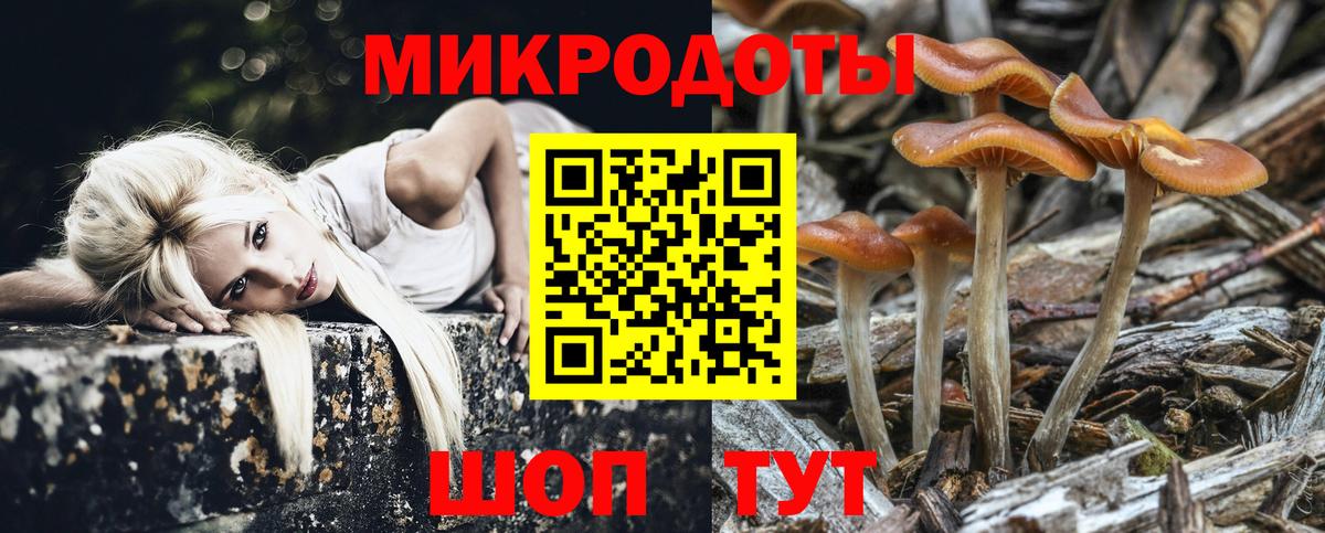 Псилоцибиновые грибы MAGIC MUSHROOMS Карталы