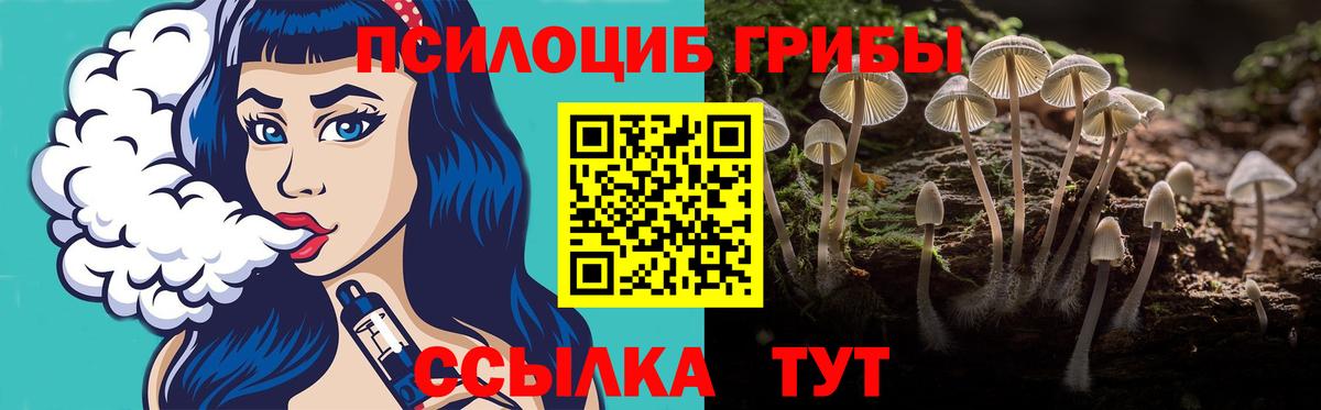 цены наркотик  Псилоцибиновые грибы GOLDEN TEACHER  Вход с VPN  Карталы  Галлюциногенные грибы прущие грибы 